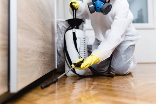 Trusted Wheelersburg, OH Pest Control Experts