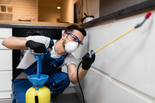 Best Bed Bug Extermination  in Wheelersburg, OH