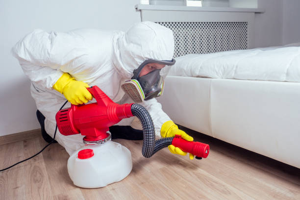 Best Ant Control Services  in Wheelersburg, OH
