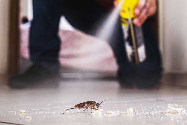 Best Pest Control for Restaurants  in Wheelersburg, OH