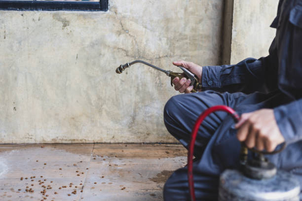 Pest Control for Restaurants in Wheelersburg, OH